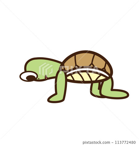 Turtle is in pain and puts his hands on the floor Turtle is in pain and puts his hands on the floor 113772480