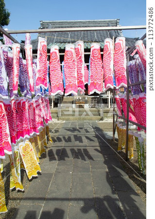 Carp streamer 113772486