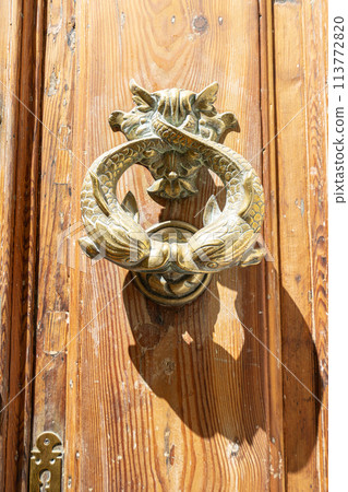 fish-shaped handles in the doors fish-shaped handles in the doors 113772820