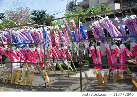 Carp streamer 113772846