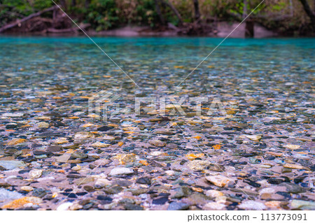 [Mountain stream material] Clear stream of Azusa River in Kamikochi in early summer [Nagano Prefecture] 113773091