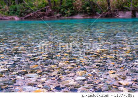 [Mountain stream material] Clear stream of Azusa River in Kamikochi in early summer [Nagano Prefecture] 113773092