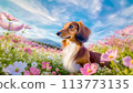 坐在宇宙領域的臘腸犬 113773135
