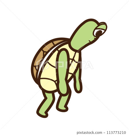 Sad and depressed turtle 113773210