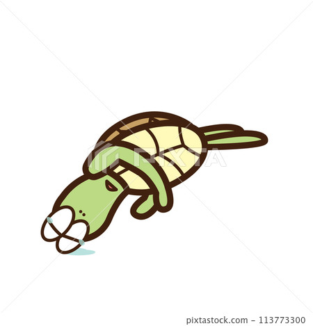 Turtle with depression and tears that won't stop 113773300