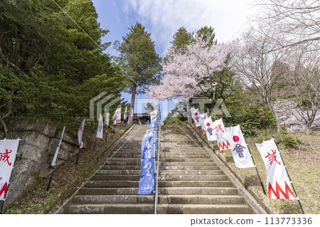 Spring at Tsuchi Shrine: Aizu clan flags and cherry blossoms on the stone steps, Inawashiro Town, Fukushima Prefecture Spring at Tsuchi Shrine: Aizu clan flags and cherry blossoms on the stone steps, Inawashiro Town, Fukushima Prefecture 113773336