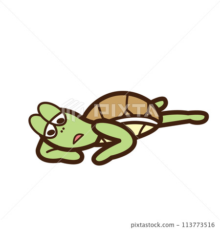 一隻鬱悶的烏龜,身體太重而無法移動 一隻鬱悶的烏龜,身體太重而無法移動 113773516