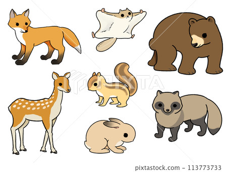 森林動物的插圖集 113773733