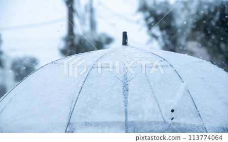 寒冷的冬天圖片 113774064