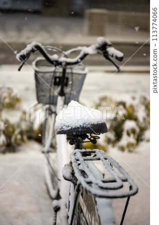 Cold winter image Cold winter image 113774066