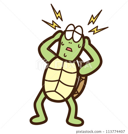 Turtle suffering from headache 113774407