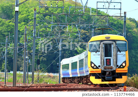 The E257 Series 500 runs through the dazzling greenery of the new season. 113774466