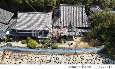 福山市_國家重要文化財產【阿布舍觀音】航空攝影_No15 113774717