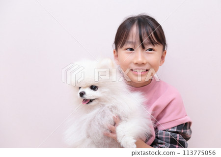 Girl playing with her dog Pomeranian Girl playing with her dog Pomeranian 113775056