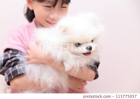 女孩和她的狗博美犬玩耍 113775057