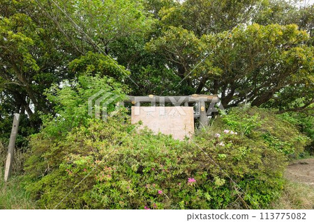 Mount Okusu in Yokosuka 113775082