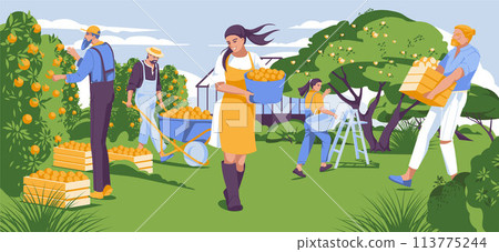 green landscape with people harvesting together. Happy farming and agriculture. Greenhouse and trees. Vector flat illustration 113775244