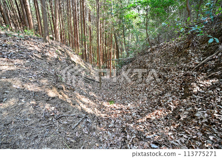 The enclosures and moats of Yagyu Castle in Yamato Province, the hometown of Yagyu Jubei, Nara Prefecture 113775271