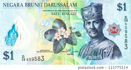 Sultan Hassanal Bolkiah portrait on Brunei 1 dollar banknote. Bank of Brunei Darussalam banknote. His Majesty Sultan Haji Hassanal Bolkiah in military uniform Sultan Hassanal Bolkiah portrait on Brunei 1 dollar banknote. Bank of Brunei Darussalam banknote. His Majesty Sultan Haji Hassanal Bolkiah in military uniform 113775514