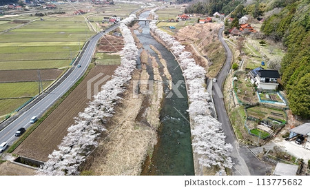 Miyoshi City, Miwa Town [Minamihara River Thousand Cherry Blossoms] Aerial Photo_No28 113775682