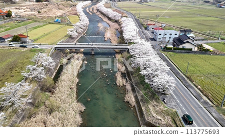 Miyoshi City, Miwa Town [Minamihara River Thousand Cherry Blossoms] Aerial Photo_No06 113775693