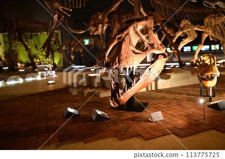 神奈川縣入生田生命之星地球博物館 113775725