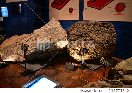 神奈川縣入生田生命之星地球博物館 神奈川縣入生田生命之星地球博物館 113775740