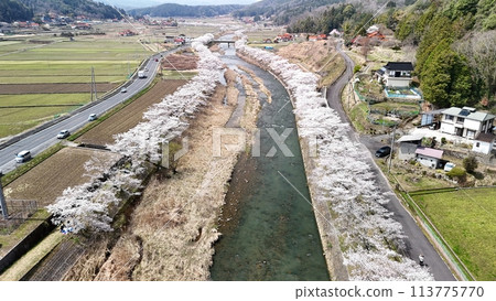 三好市三輪町【三原川千本櫻】空拍_No10 三好市三輪町【三原川千本櫻】空拍_No10 113775770