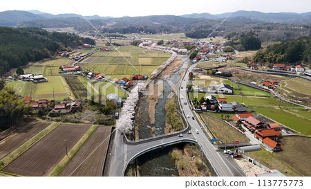 Miyoshi City, Miwa Town [Minamihara River Thousand Cherry Blossoms] Aerial Photo_No13 113775773