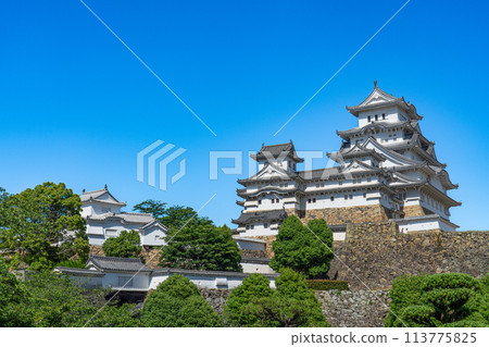【世界遺產姬路城】【日本名城百選】陽光明媚的初夏天守閣和建築兵庫縣姬路市 【世界遺產姬路城】【日本名城百選】陽光明媚的初夏天守閣和建築兵庫縣姬路市 113775825