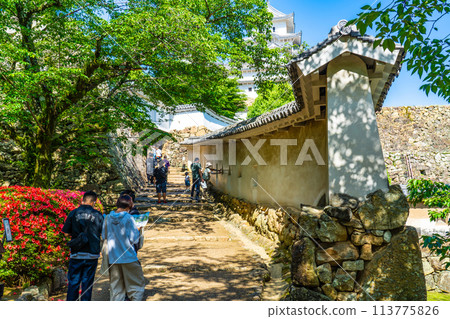 【世界遺產姬路城】【日本名城百選】通往五月花開的本丸迴廊 兵庫縣姬路市 113775826