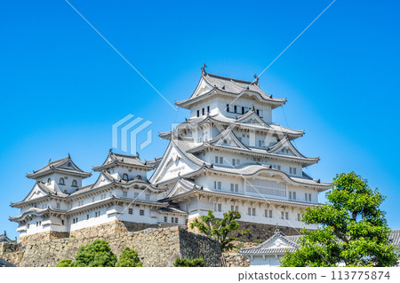 【世界遺產姬路城】【日本名城100選】藍天與天守閣組1 兵庫縣姬路市 【世界遺產姬路城】【日本名城100選】藍天與天守閣組1 兵庫縣姬路市 113775874