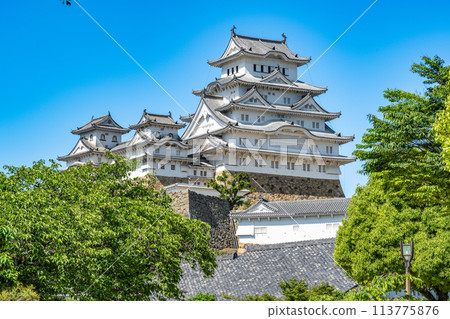 【世界遺產姬路城】【日本名城100選】藍天與天守閣第2組 兵庫縣姬路市 113775876