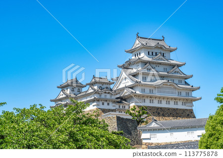 【世界遺產姬路城】【日本名城100選】藍天與天守閣群4 兵庫縣姬路市 113775878