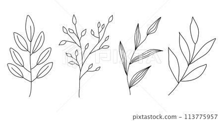 Set of different branches with leaves, doodle style flat vector outline for coloring book 113775957