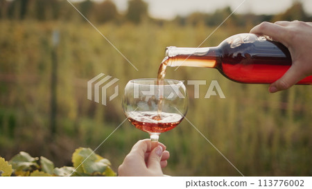 The taster pours red wine into a glass against the backdrop of vineyards. Slow motion 4k video 113776002