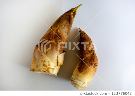 Taste of Spring: Moso Bamboo Shoots 113776042