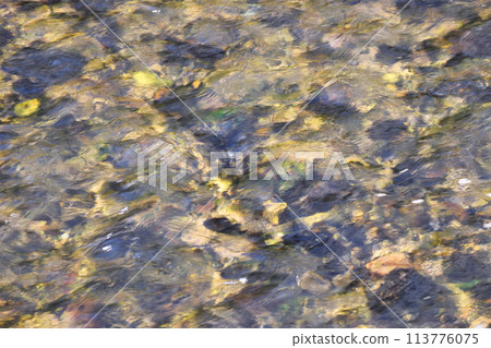 The transparent water surface and riverbed of the Shirakawa River, Kyoto (Higashiyama Ward, Kyoto City) The transparent water surface and riverbed of the Shirakawa River, Kyoto (Higashiyama Ward, Kyoto City) 113776075