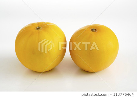 宮崎縣甜瓜伊麗莎白 宮崎縣甜瓜伊麗莎白 113776464