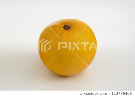 宮崎縣甜瓜伊麗莎白 113776466