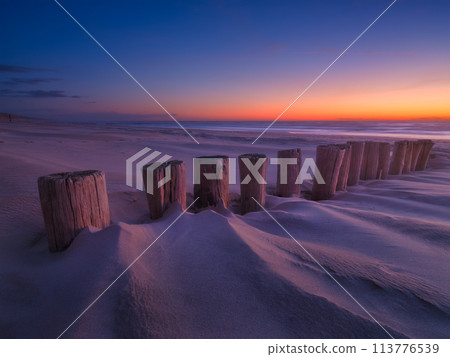 Seascape during sunrise. Logs in the sand. Bright sky during sunset.  113776539