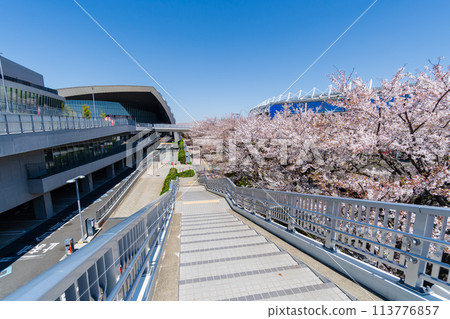Musashino no Mori綜合體育廣場 Musashino no Mori綜合體育廣場 113776857