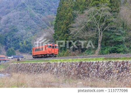 Local line Local line 113777096