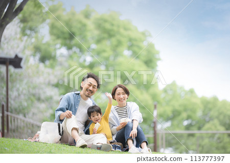Family having a picnic in the park, looking at camera 113777397