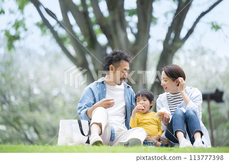 Family having a picnic in the park Image of spring and summer outings and leisure 113777398