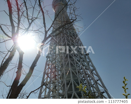 View of Tokyo Skytree in March-38 View of Tokyo Skytree in March-38 113777405