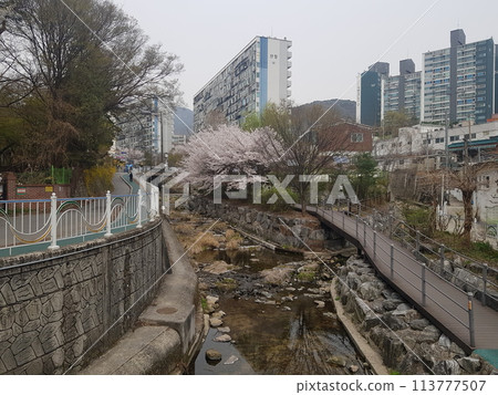 the road to the city 113777507