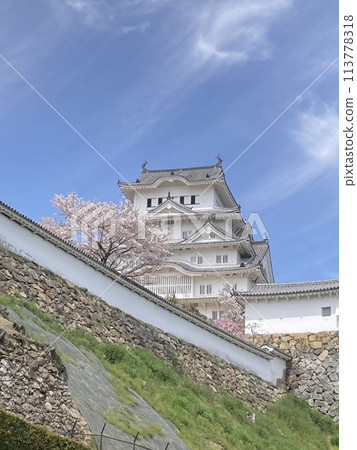 Himeji castle Himeji castle 113778318