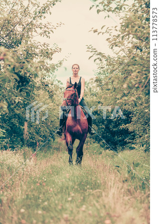 Young woman ridding on a horse Young woman ridding on a horse 113778573