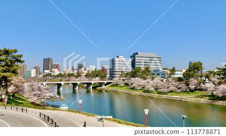 The cherry blossom trees along the Otsu River shine against the blue sky (from the pedestrian deck at Meitetsu Higashi-Okazaki Station, Okazaki City, Aichi Prefecture) The cherry blossom trees along the Otsu River shine against the blue sky (from the pedestrian deck at Meitetsu Higashi-Okazaki Station, Okazaki City, Aichi Prefecture) 113778871